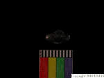 L_V22d6703 J3i24 T906 dM bd f257